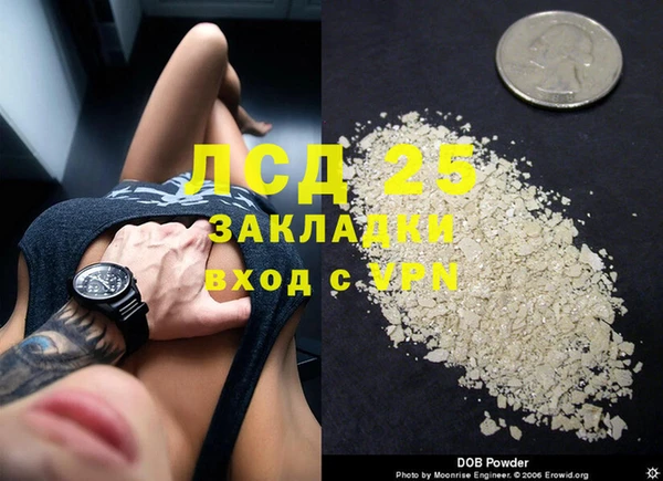 стафф Михайловск