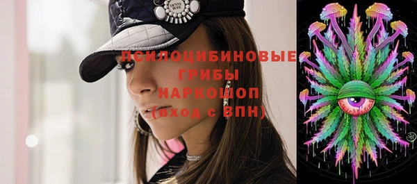 МДПВ Мегион