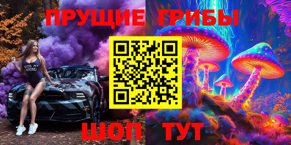 Псилоцибиновые грибы Cubensis Йошкар-Ола
