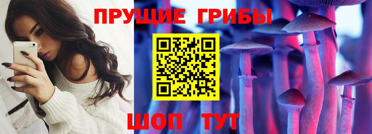 закладки  Псилоцибиновые грибы Cubensis  Псилоцибиновые грибы Psilocybe  Вход с VPN  Йошкар-Ола 